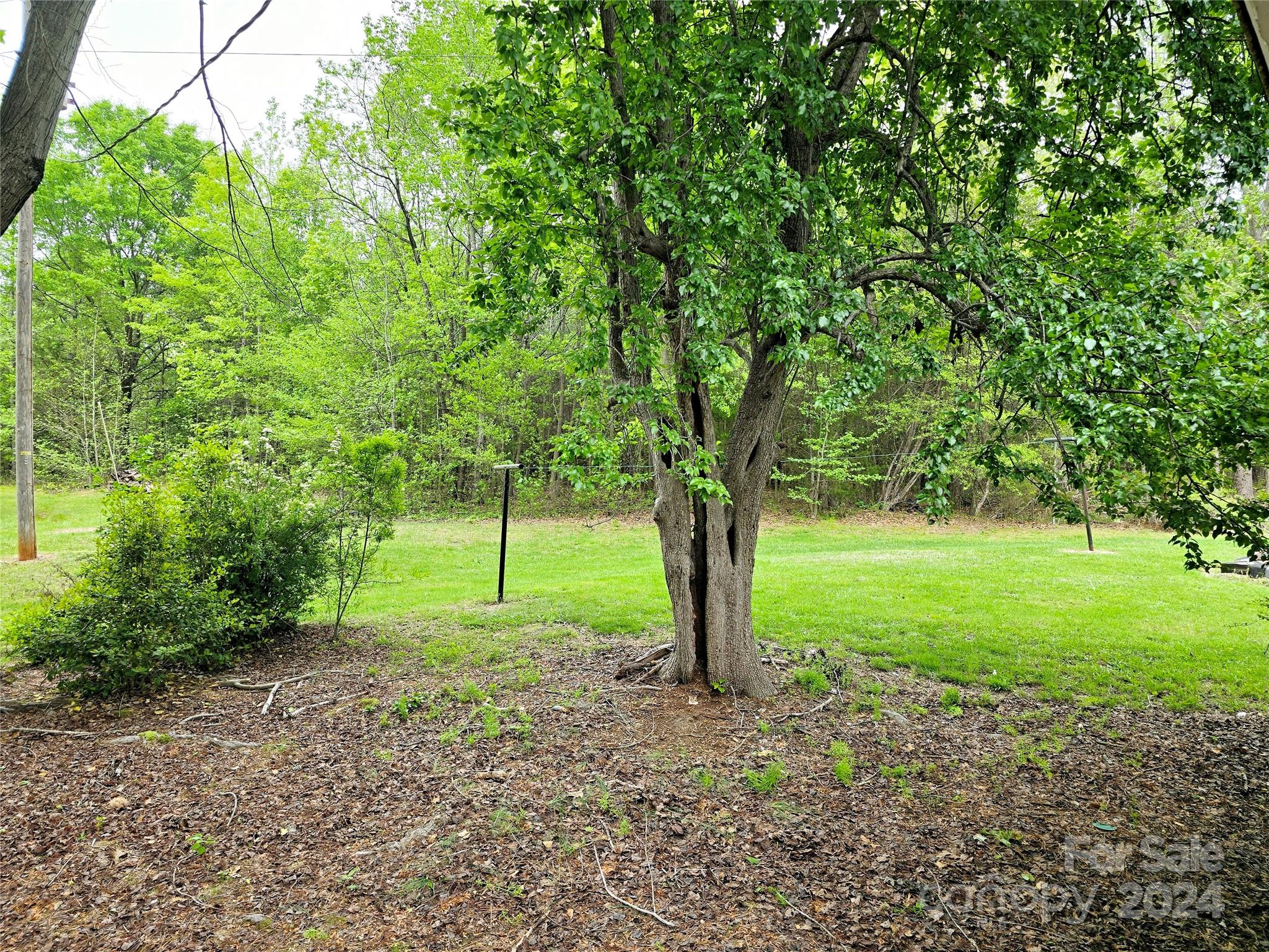 1660 Robert Martin Road Catawba, NC 28609 - Photo 17 of 22 Gallery Image 17