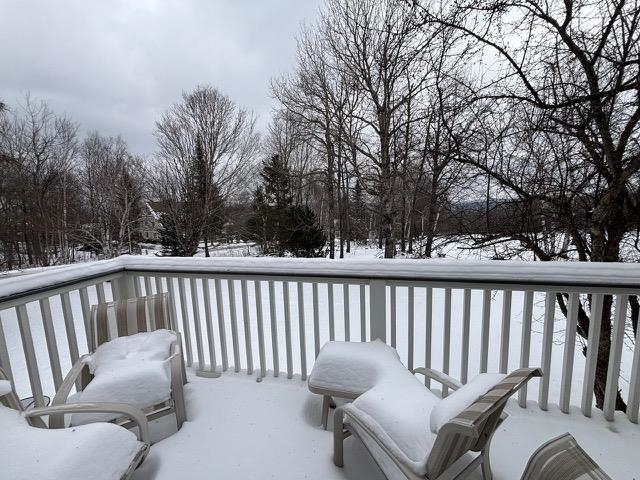 195 Mann Road, Unit 12 Wilmington, VT 05363 - Photo 43 of 52