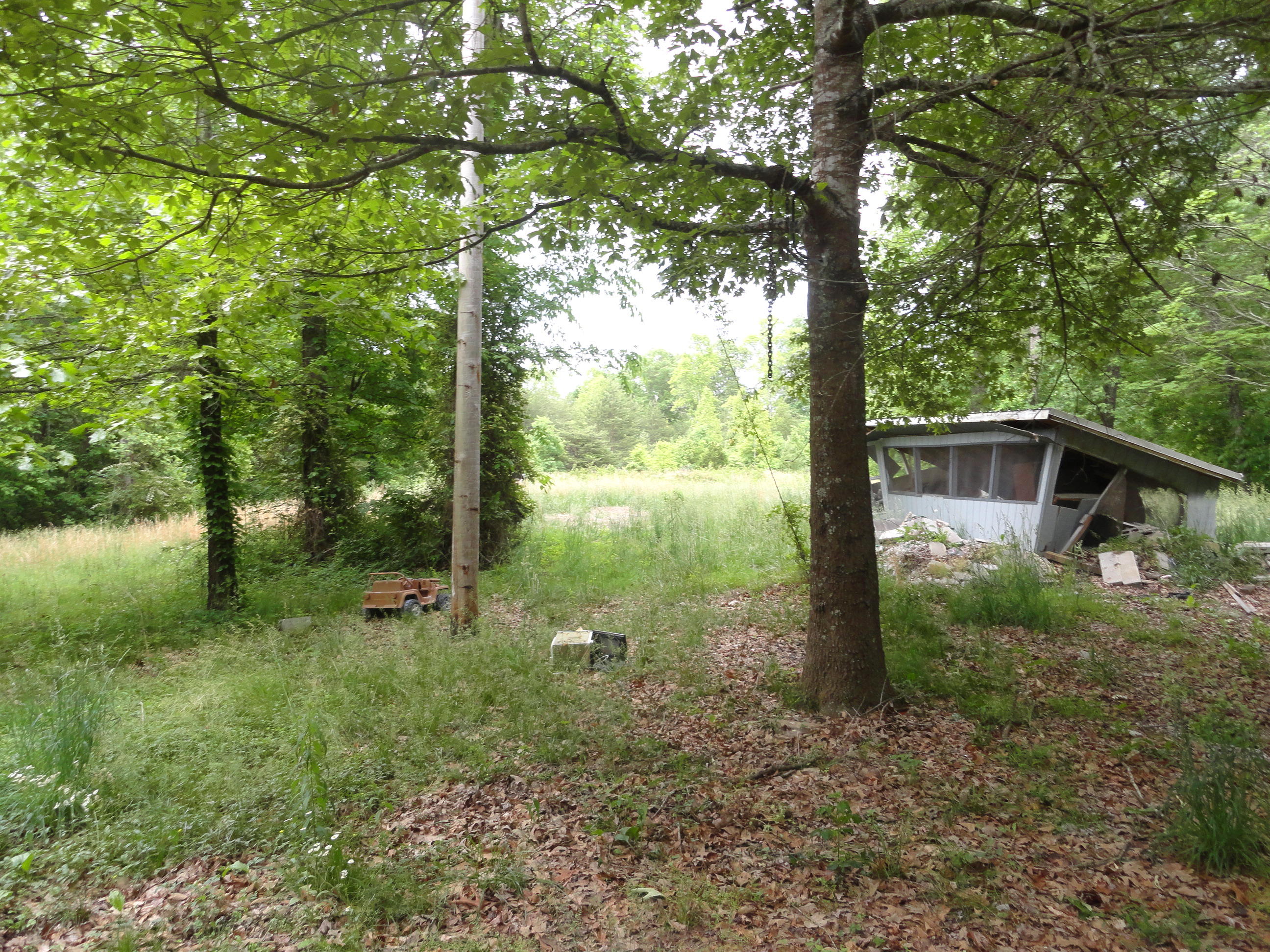 4765 Cate Road Strawberry Plains, TN 37871 - Photo 11 of 11 DSC01597