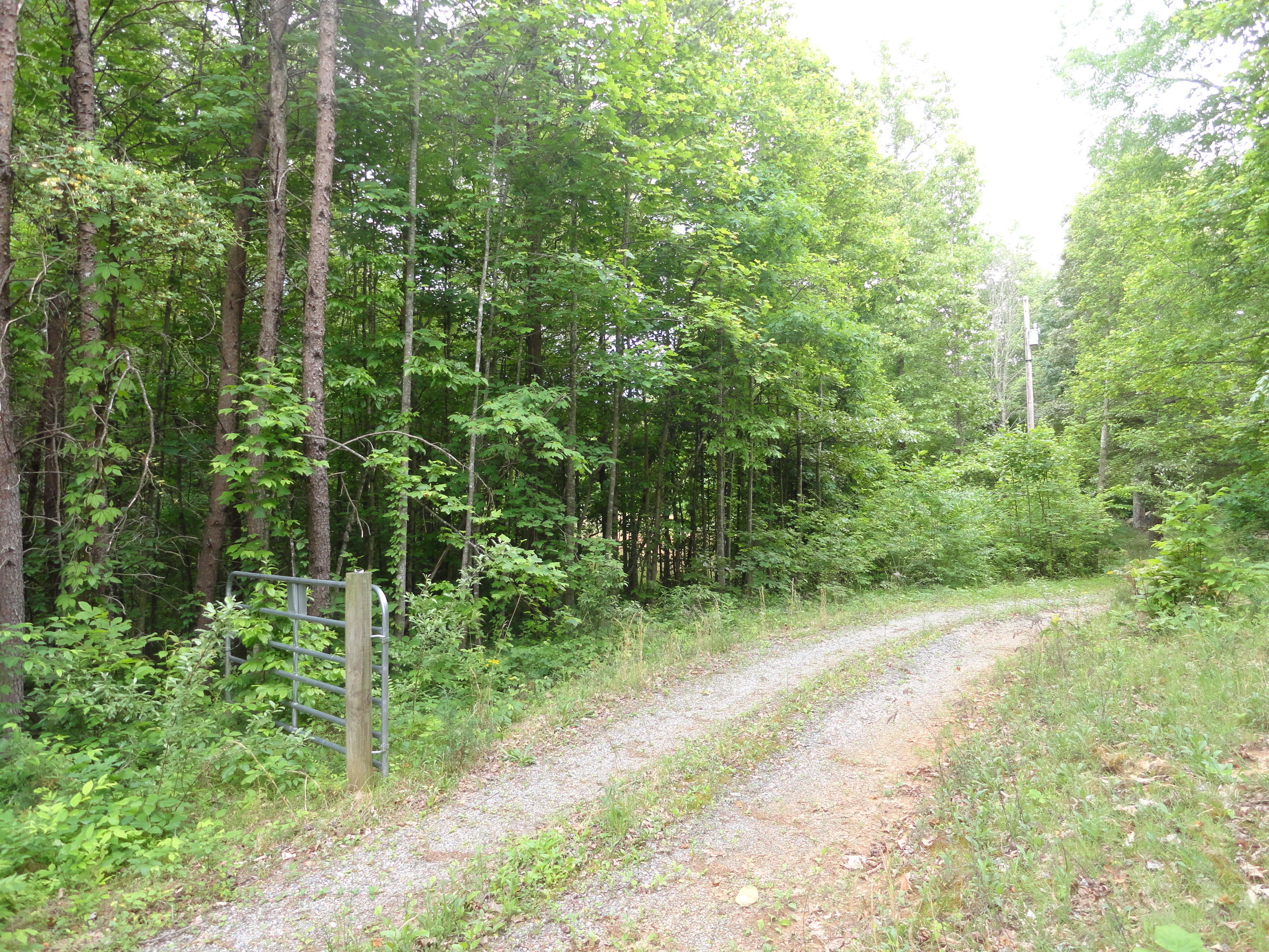 4765 Cate Road Strawberry Plains, TN 37871 - Photo 4 of 11 DSC01590