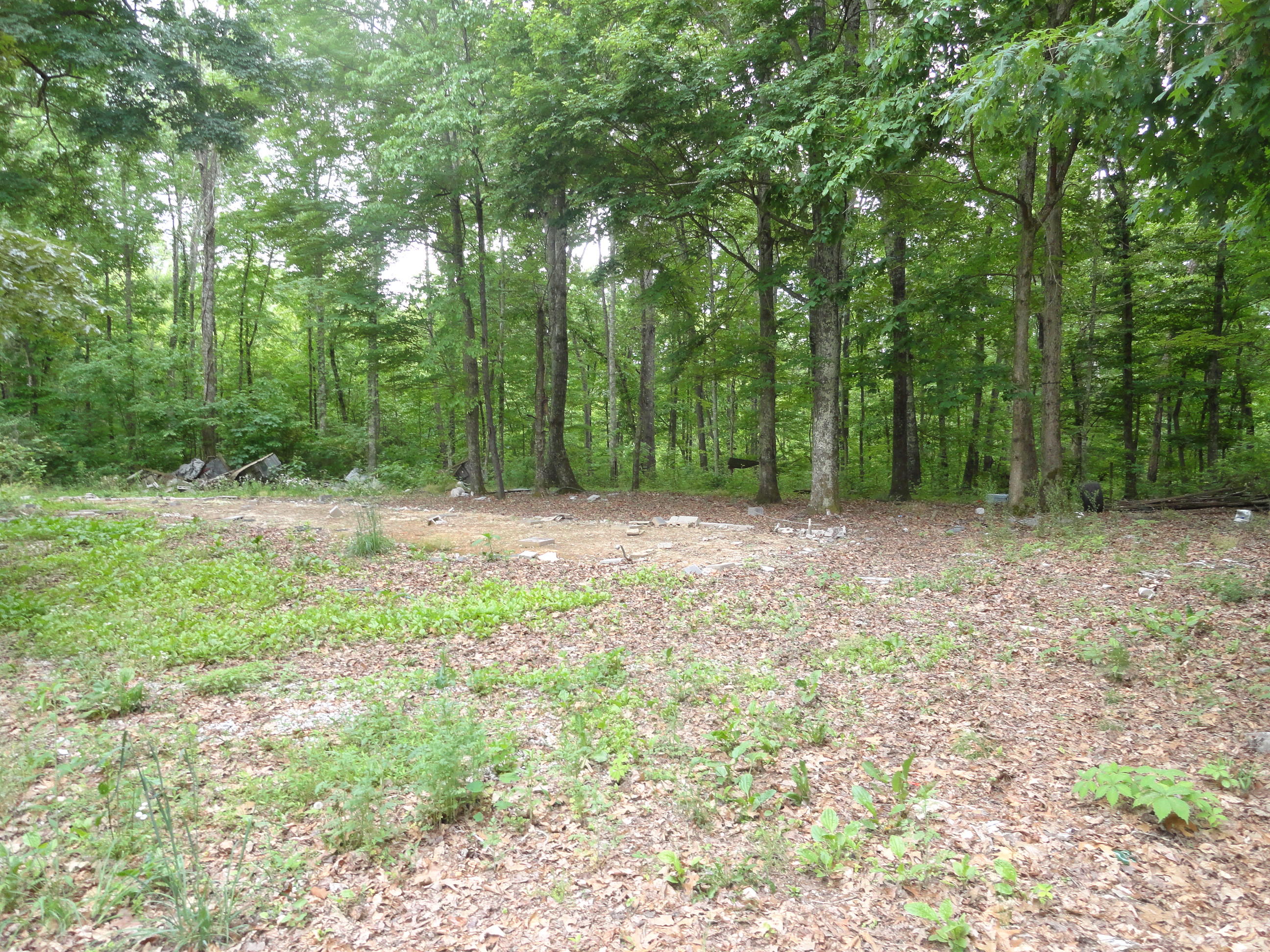 4765 Cate Road Strawberry Plains, TN 37871 - Photo 5 of 11 DSC01591