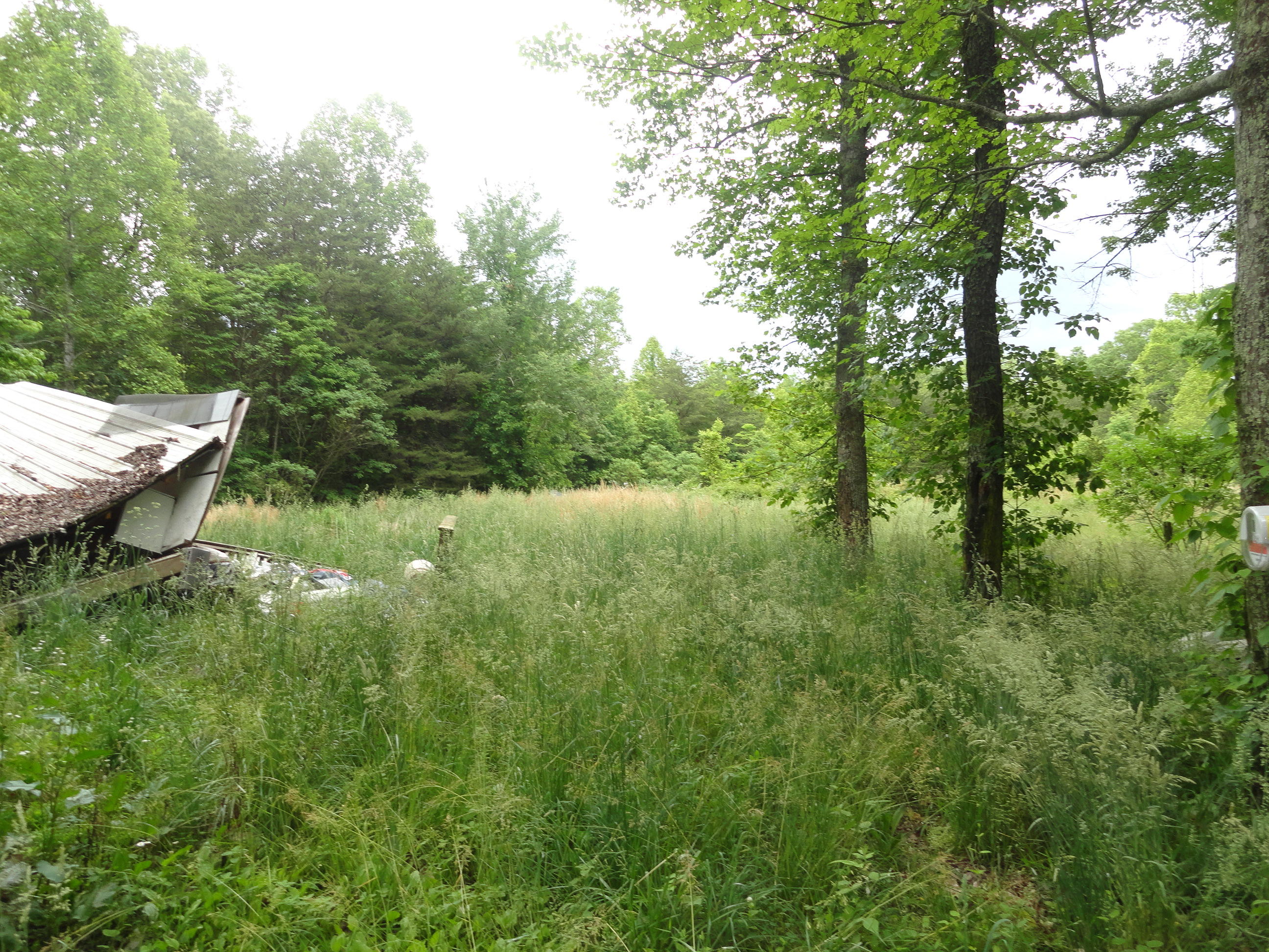 4765 Cate Road Strawberry Plains, TN 37871 - Photo 6 of 11 DSC01592