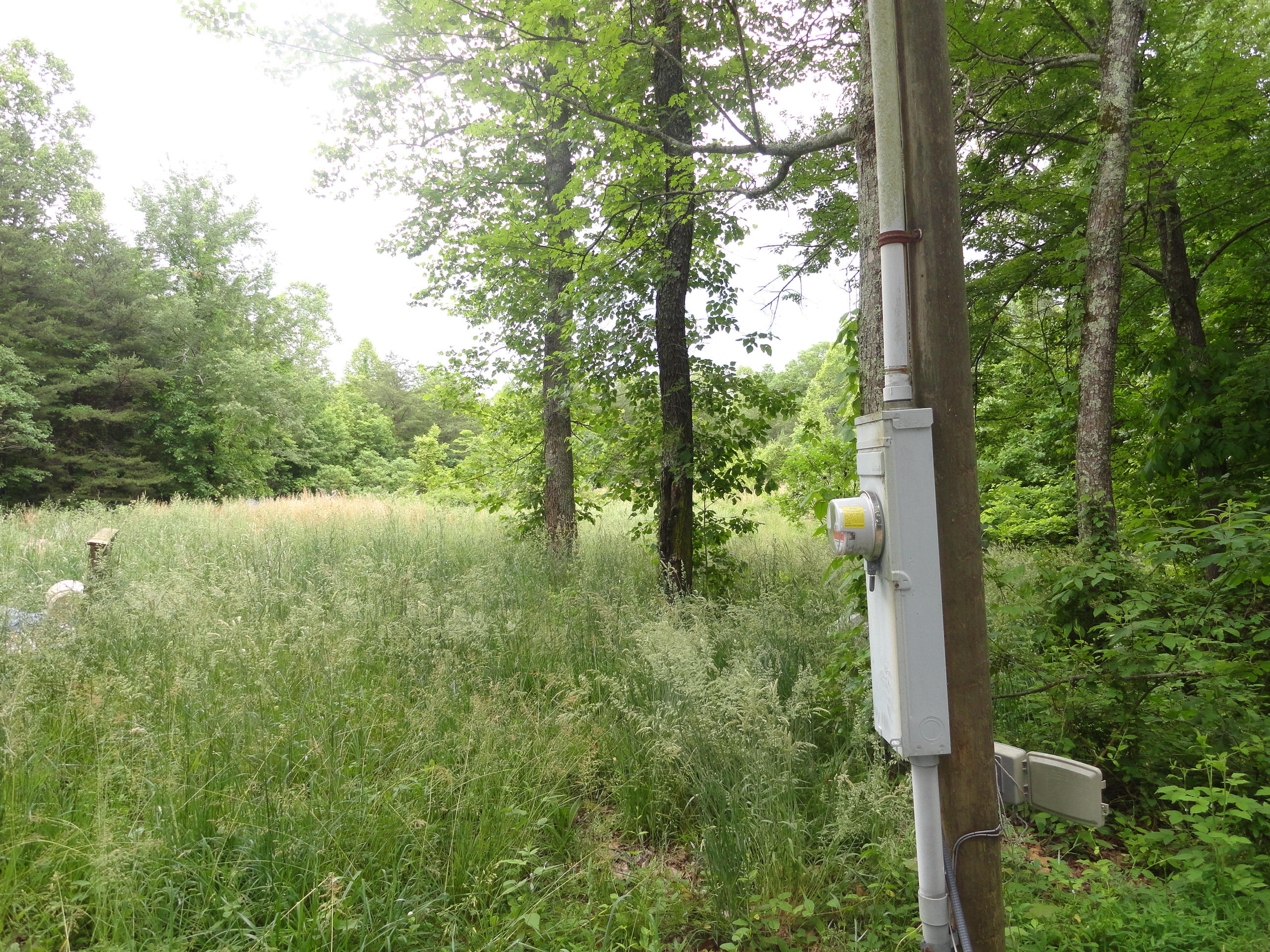 4765 Cate Road Strawberry Plains, TN 37871 - Photo 7 of 11 DSC01593