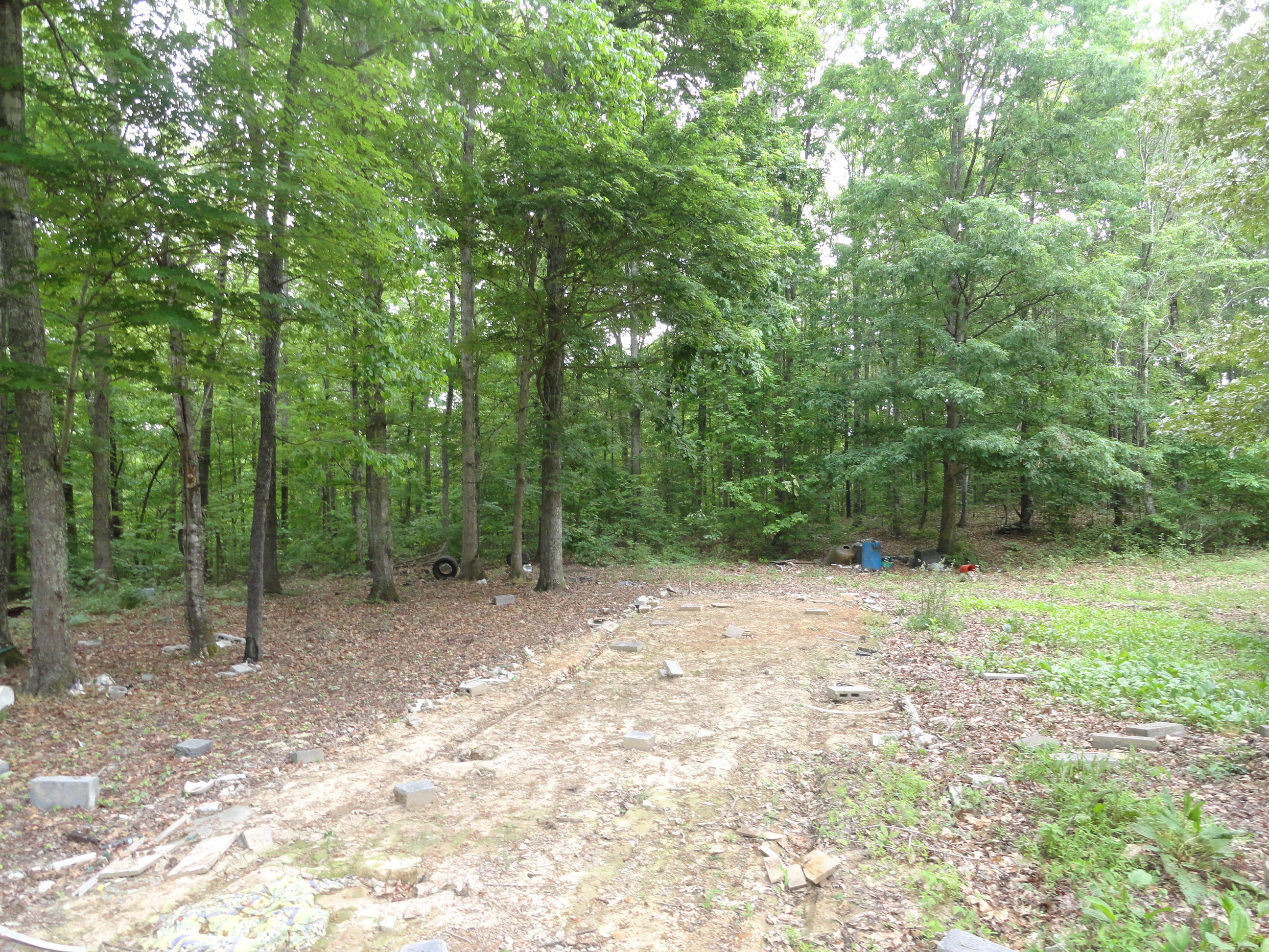 4765 Cate Road Strawberry Plains, TN 37871 - Photo 8 of 11 DSC01594