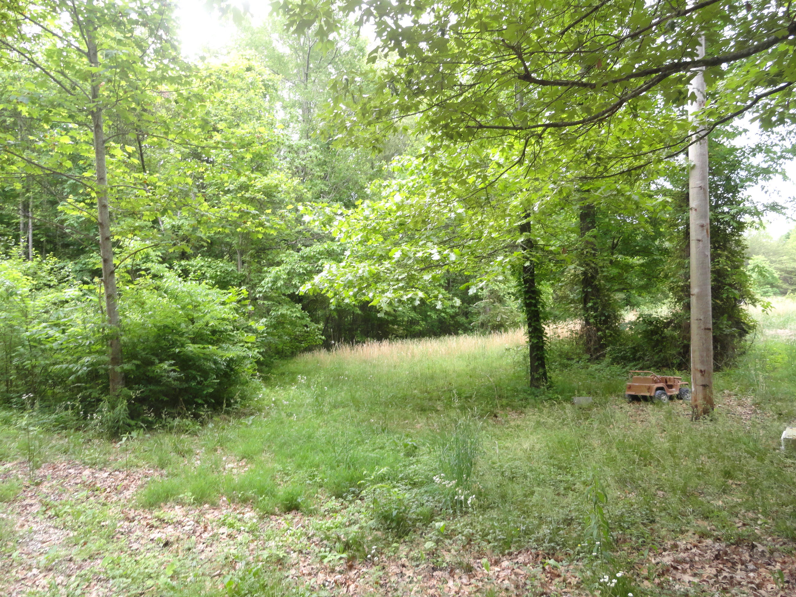 4765 Cate Road Strawberry Plains, TN 37871 - Photo 10 of 11 DSC01596