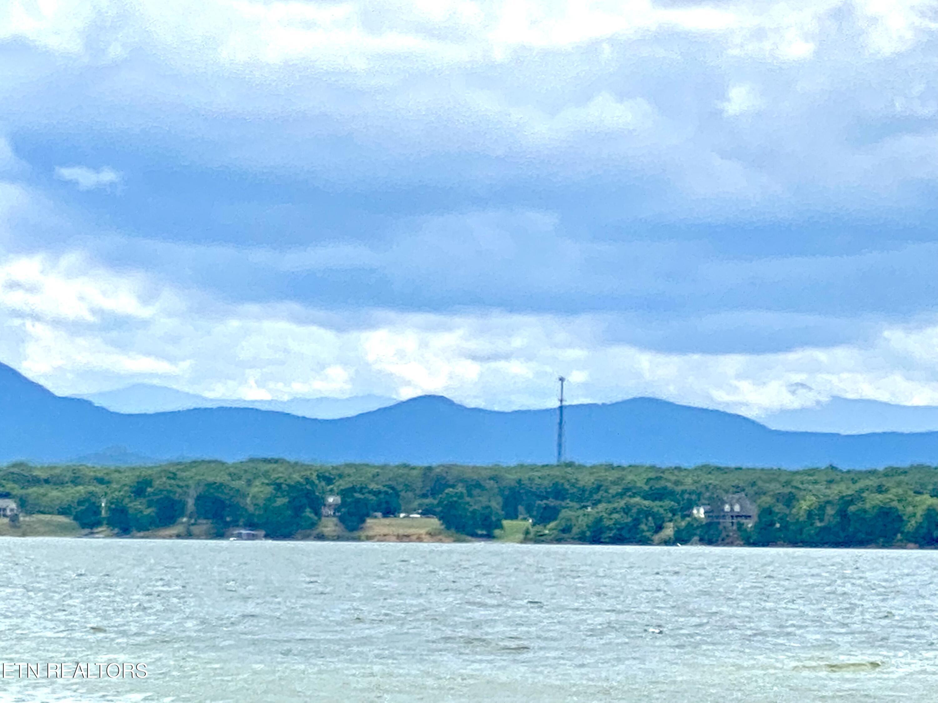 Tyler Court Baneberry, TN 37890 - Photo 2 of 2 IMG-9894