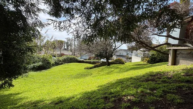 a view of a playground with a tree