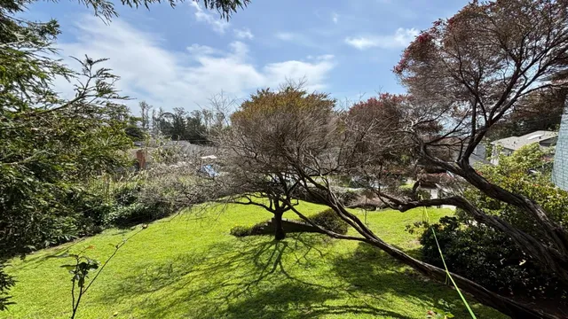 a backyard of a house