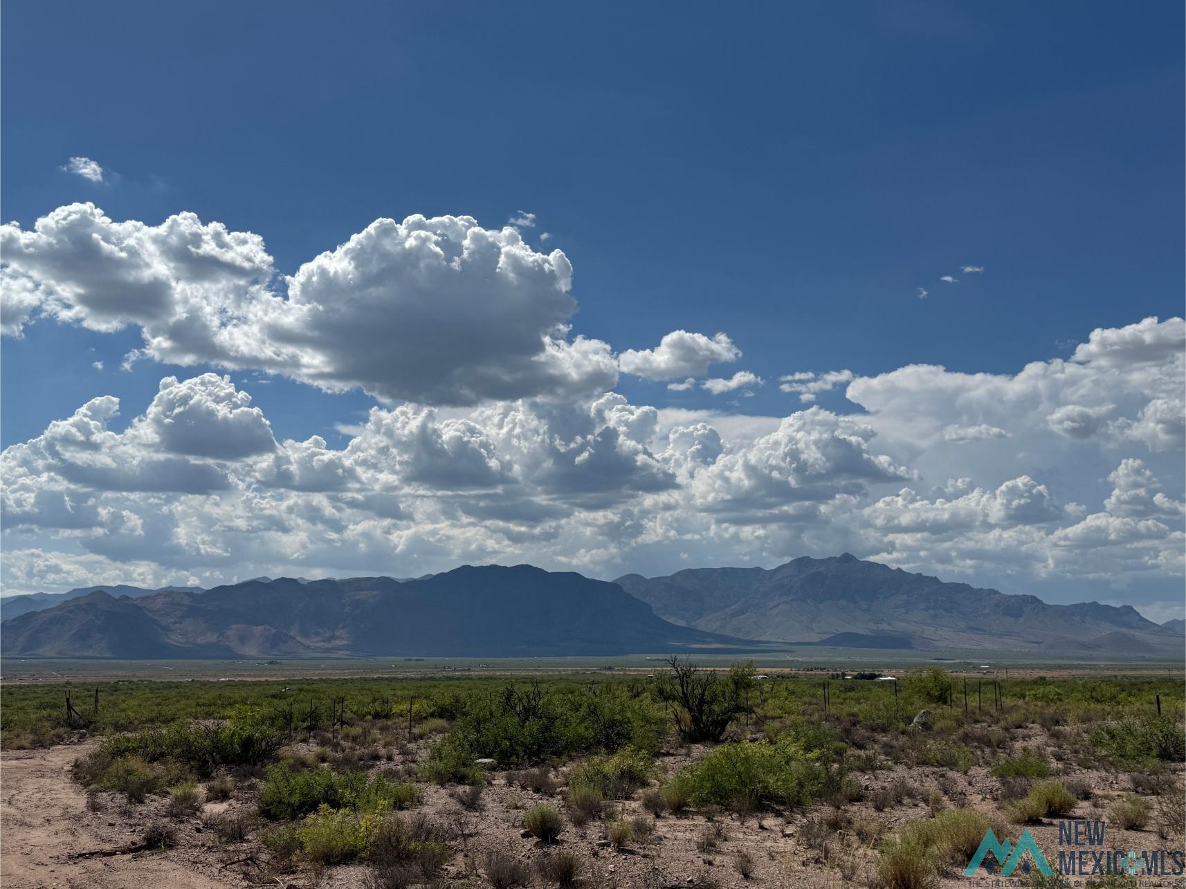 Tbd Deer Leap Road Rodeo, NM 88056 - Photo 5 of 12