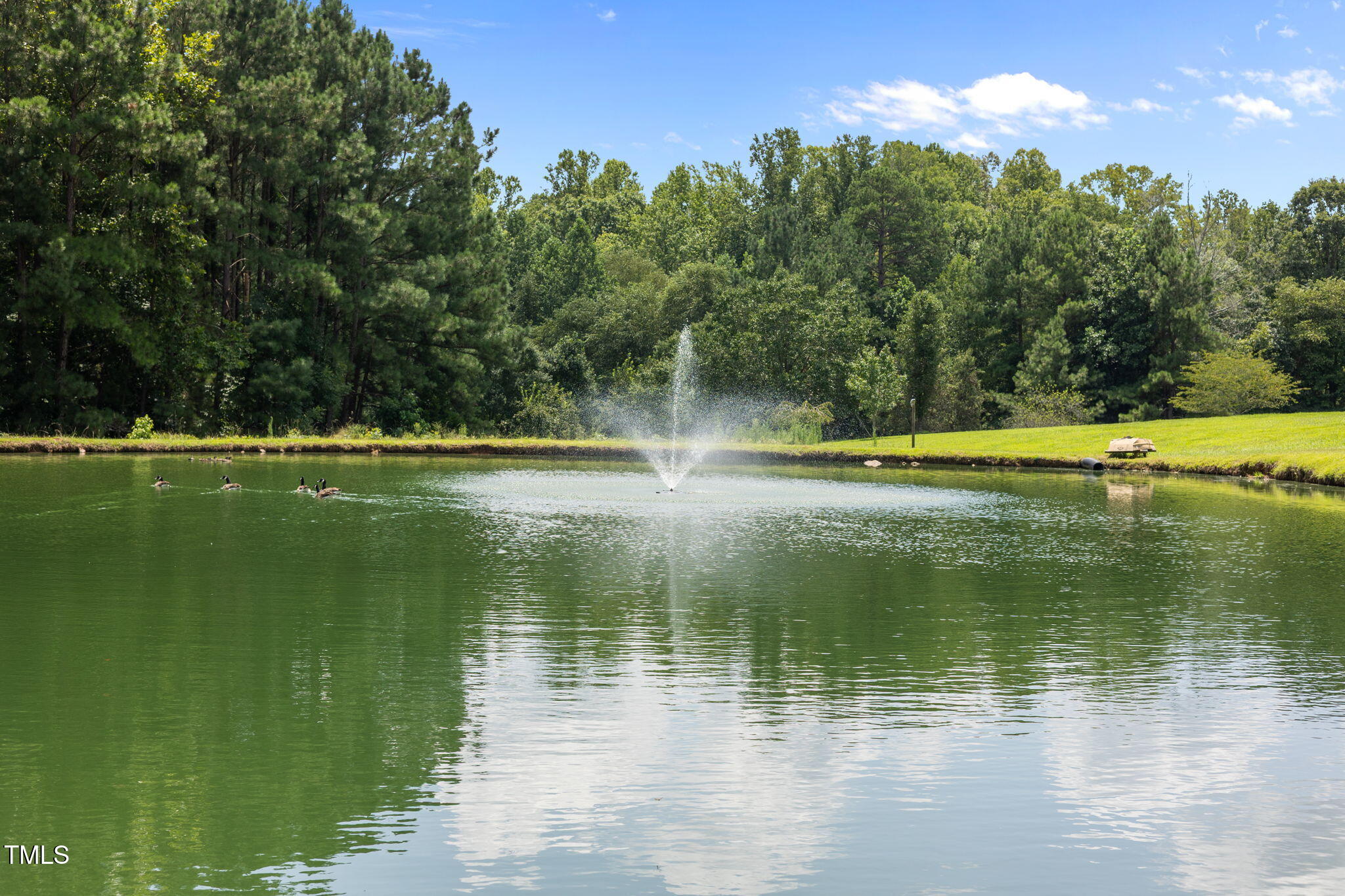5405 Carbonton Road Sanford, NC 27330 - Photo 53 of 63 a view of a lake from a lake view