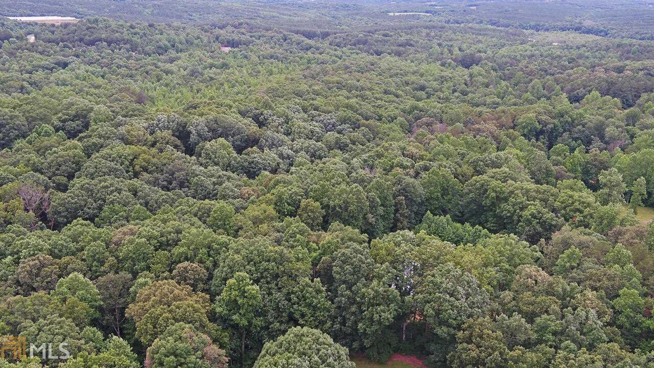 0 65b Seven Forks Road Martin, GA 30557 - Photo 1 of 1 a view of a field of grass and trees