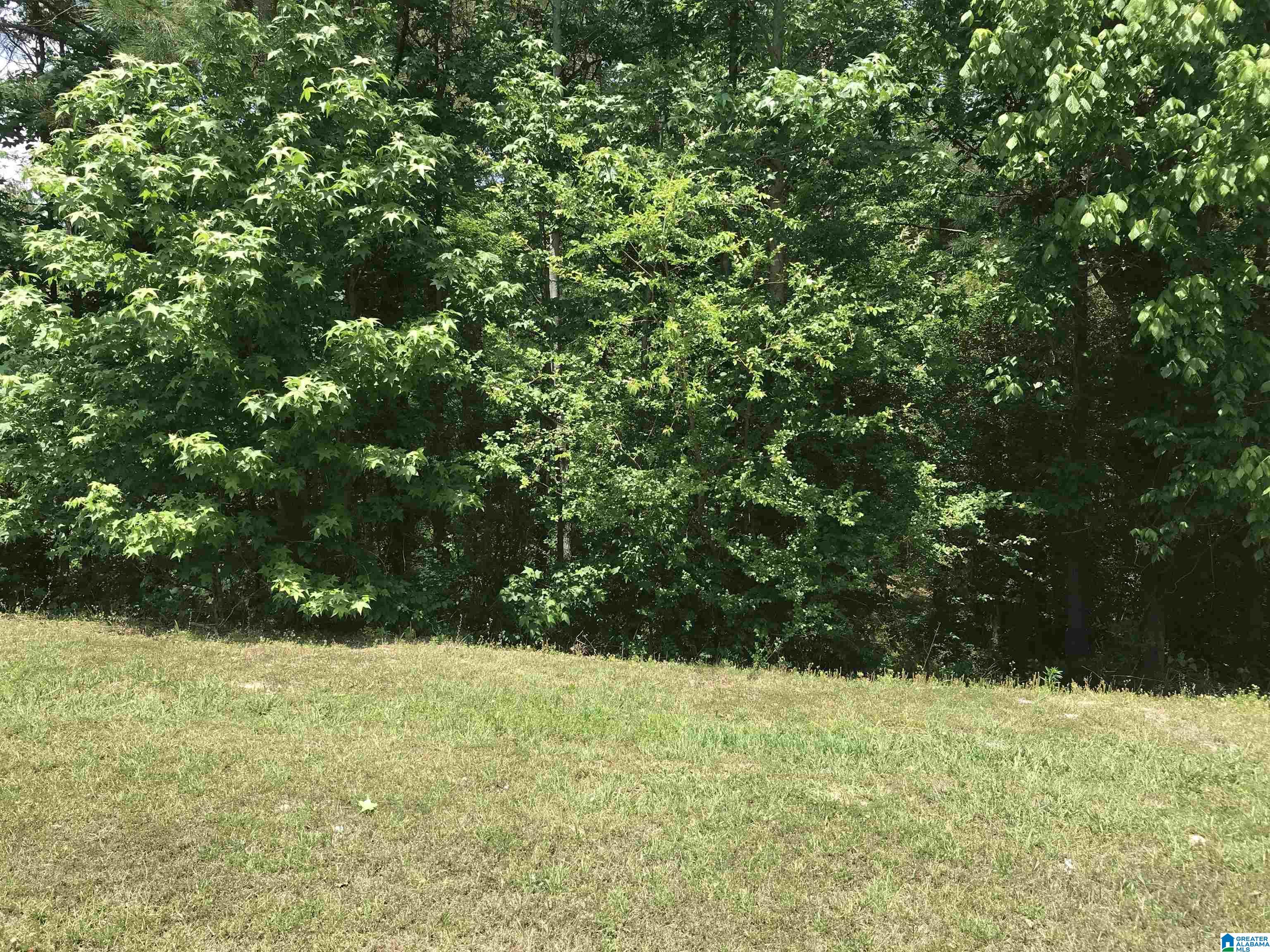 216 Maranatha Trail, Unit 30 Alabaster, AL 35007 - Photo 1 of 2