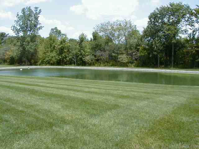 6830 Hosler Road Leo, IN 46765 - Photo 3 of 9