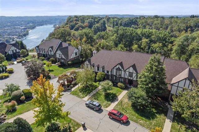 a view of a backyard with plants