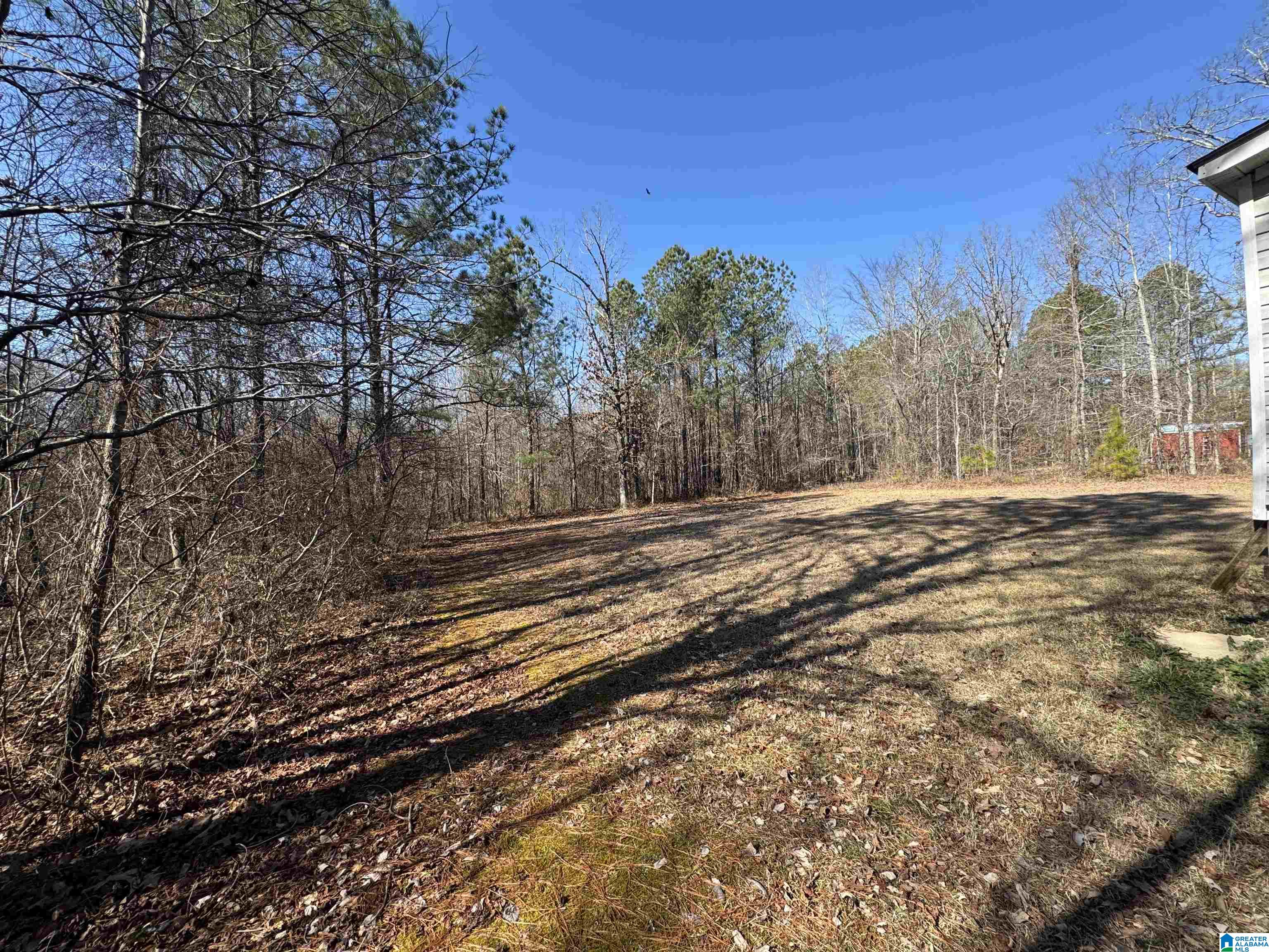 4920 Deer Run Road Cedar Bluff, AL 35959 - Photo 9 of 13