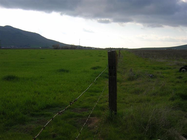0 East Kings Canyon Road Reedley, CA 93654 - Photo 8 of 17 Cross Fence between fields