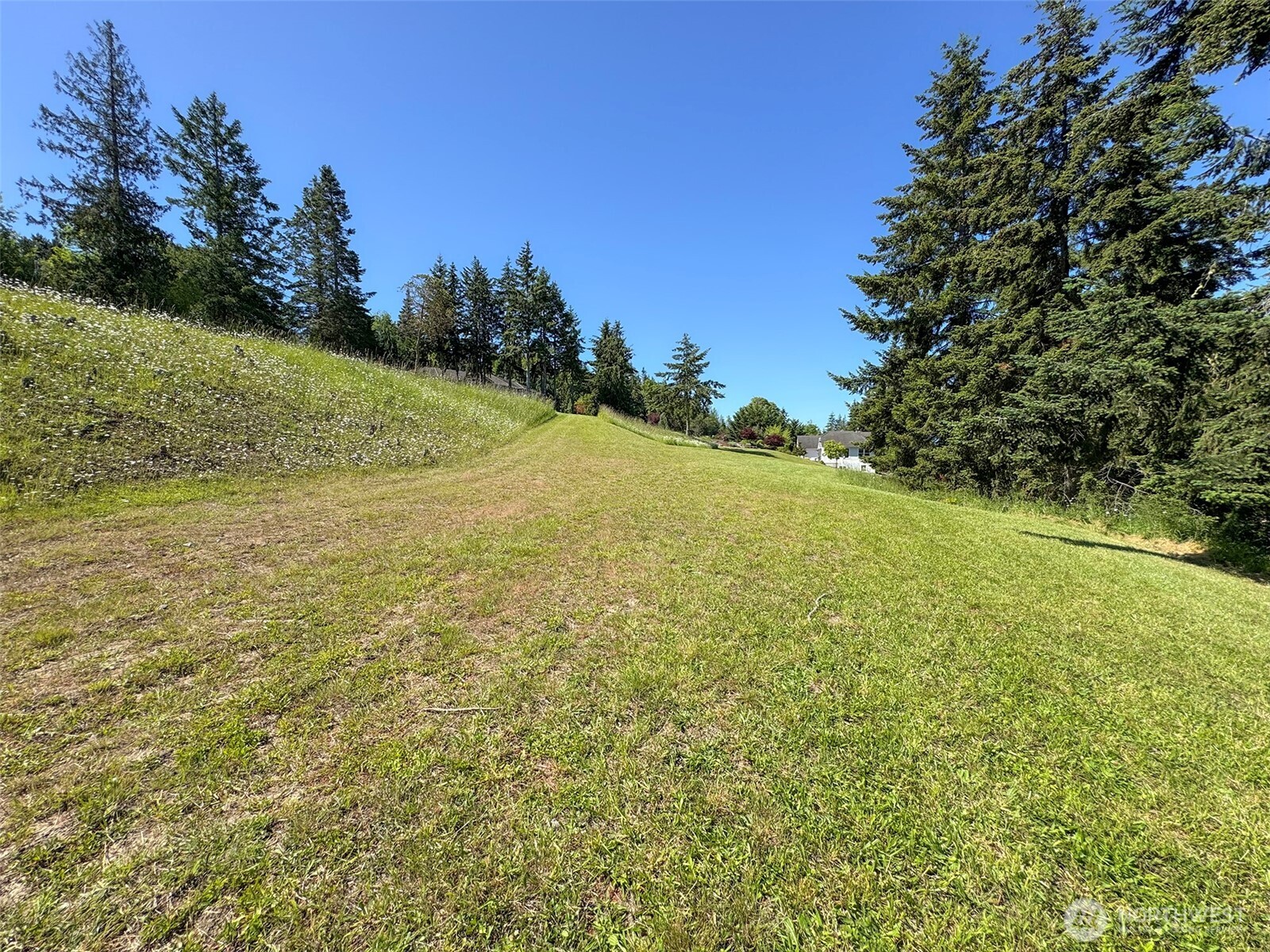 -nka Owls Nest Road Sequim, WA 98382 - Photo 19 of 38 a view of a field with an outdoor space