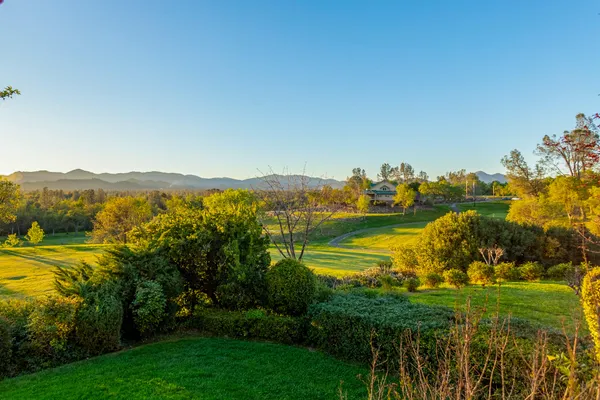 a view of a yard in a house