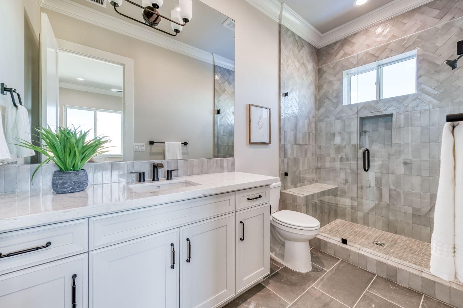 881 Terrace Place Madera, CA 93636 - Photo 39 of 85 a bathroom with a sink a potted plant and a toilet
