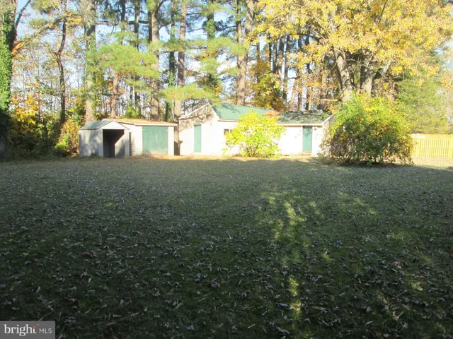 a view of a big yard with an trees and plants
