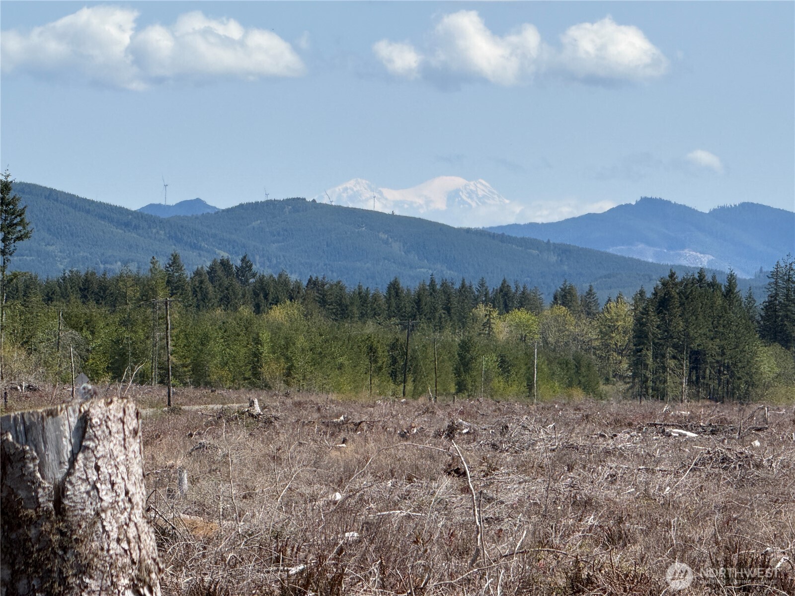 2-xx Oppelt Road Onalaska, WA 98570 - Photo 1 of 9 Gallery Image 1