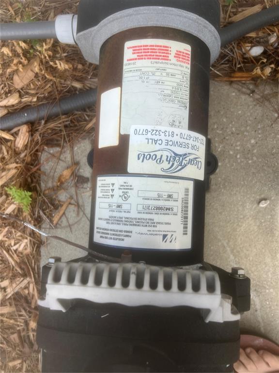 5626 Riva Ridge Drive Wesley Chapel, FL 33544 - Photo 11 of 72