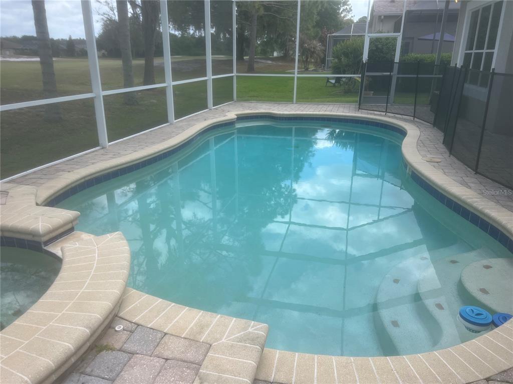 5626 Riva Ridge Drive Wesley Chapel, FL 33544 - Photo 3 of 72