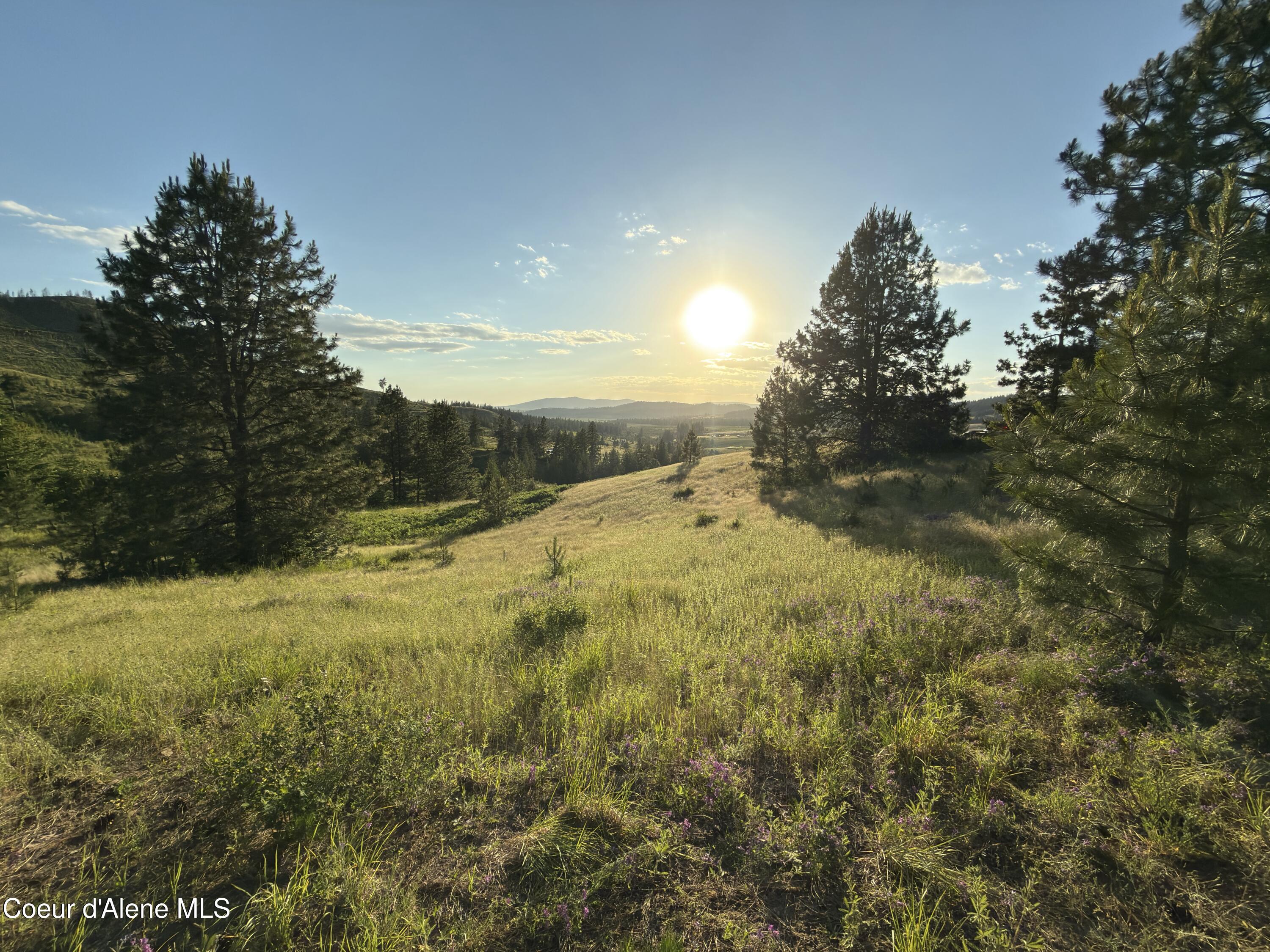 Nna Windfall Pass Road St. Maries, ID 83861 - Photo 13 of 38 200 (1)