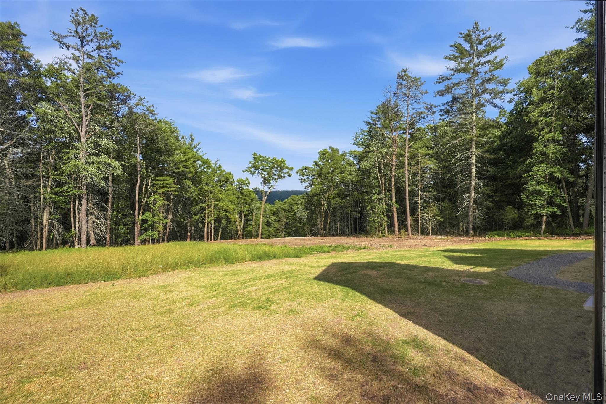 300 Van Tuyl Road Barryville, NY 12719 - Photo 50 of 50 a view of a yard with a trees