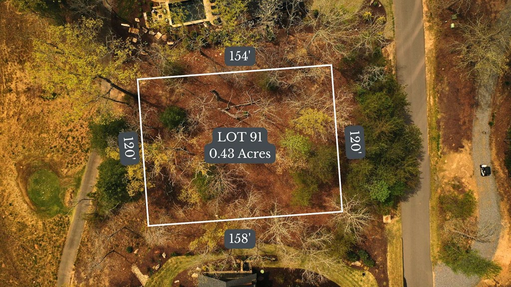 Lot 91 Fallen Leaf Road Mineral Bluff, GA 30559 - Photo 2 of 5