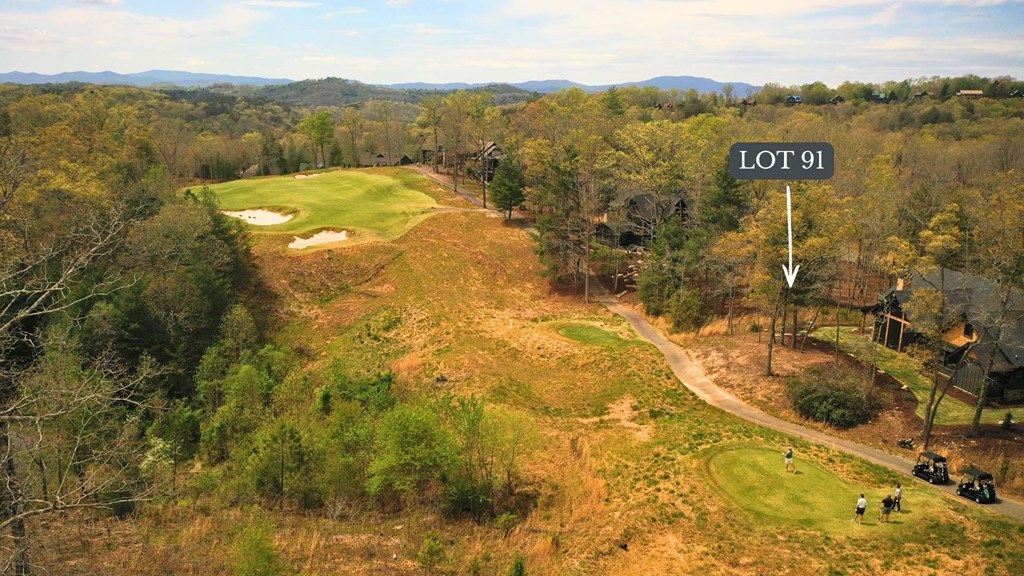 Lot 91 Fallen Leaf Road Mineral Bluff, GA 30559 - Photo 4 of 5