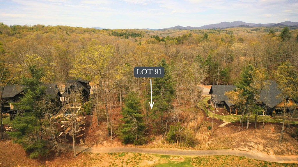 Lot 91 Fallen Leaf Road Mineral Bluff, GA 30559 - Photo 5 of 5