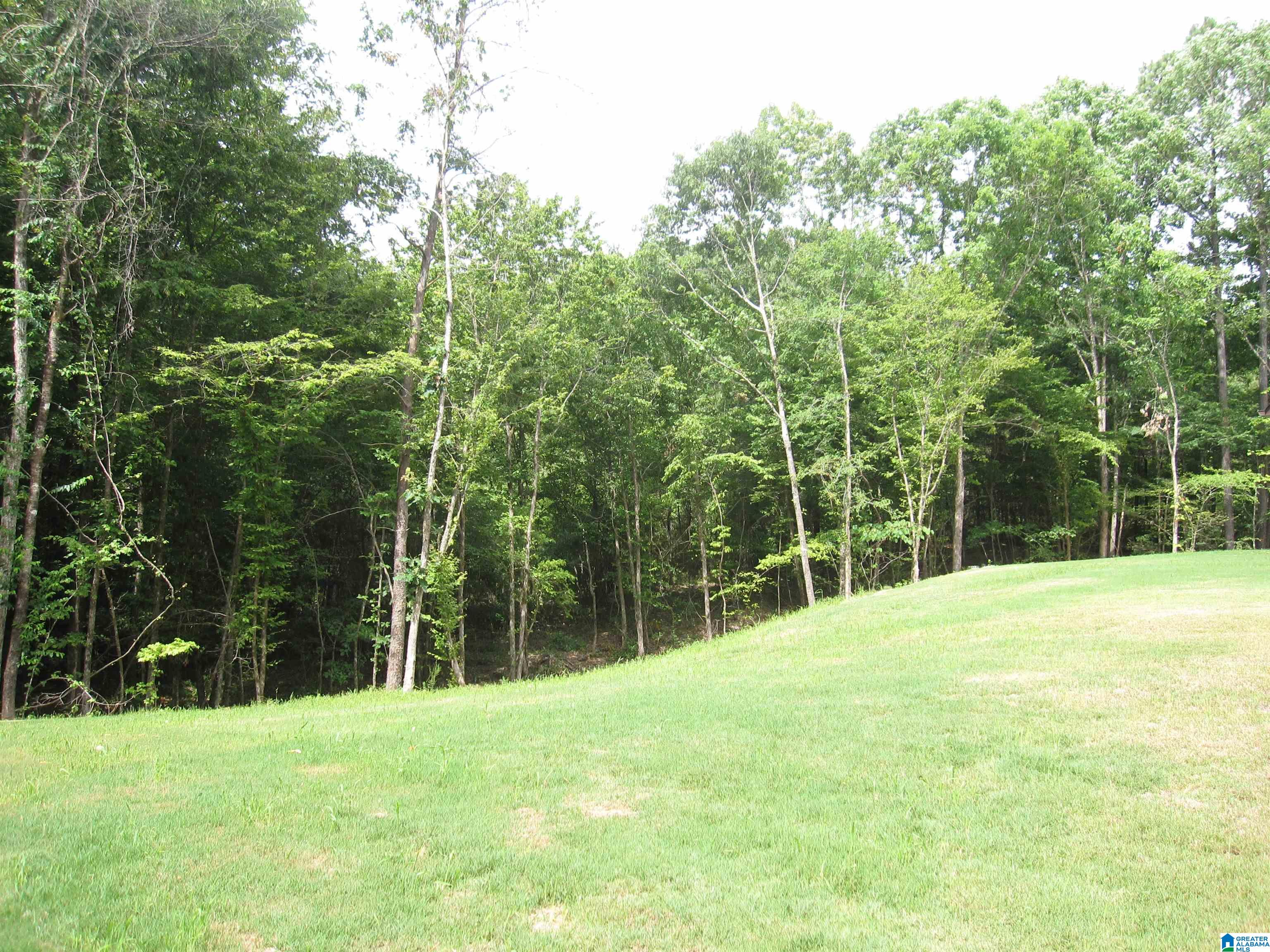 563 Cornerstone Drive Calera, AL 35040 - Photo 48 of 54
