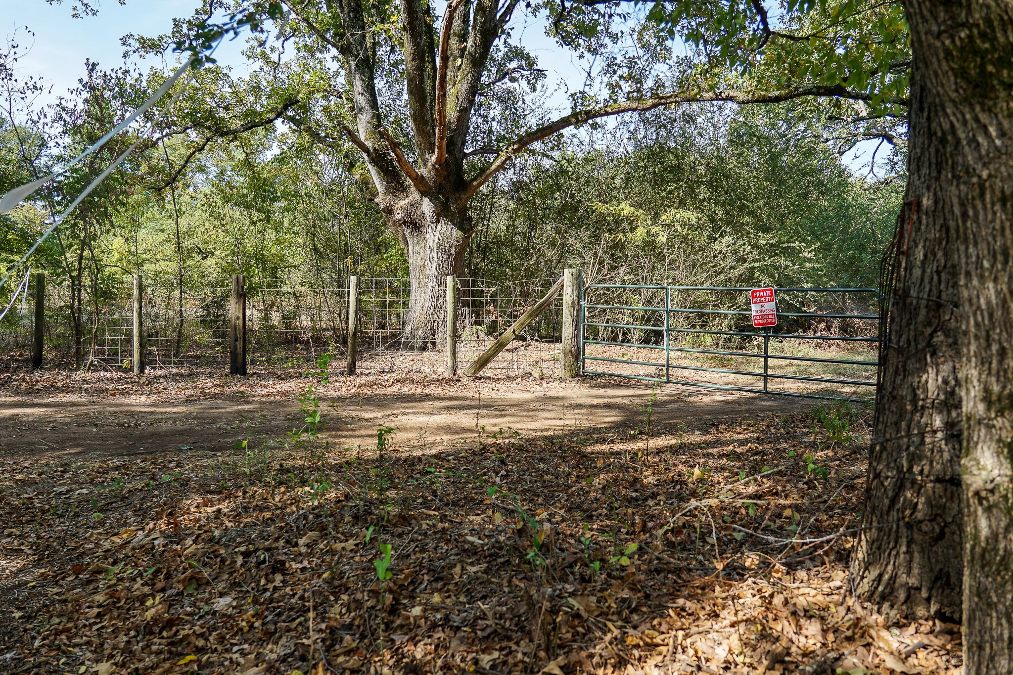 Lot 1 County Road Avinger, TX 75630 - Photo 8 of 20 NORTH GATE