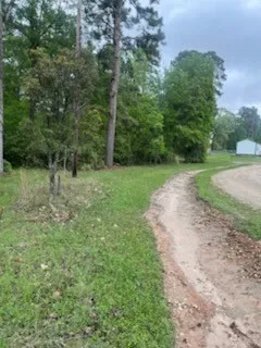 a view of a yard with a tree