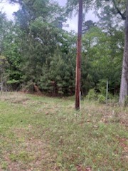 Lot 51-52 Sabine Drive Trinity, TX 75862 - Photo 2 of 6 a backyard of a house with lots of green space