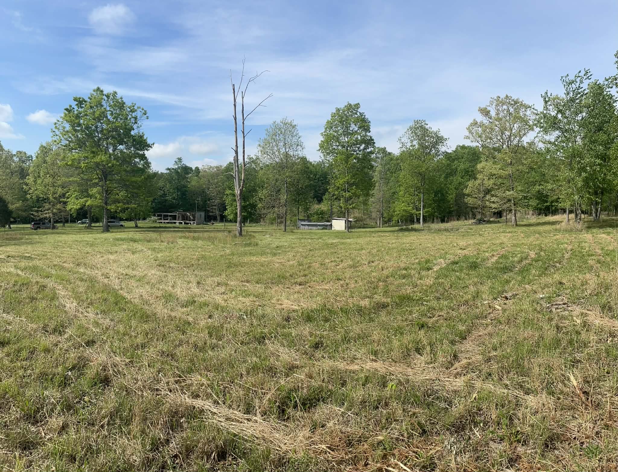 607 Monteagle Falls Road Monteagle, TN 37356 - Photo 13 of 14 Gallery Image 13