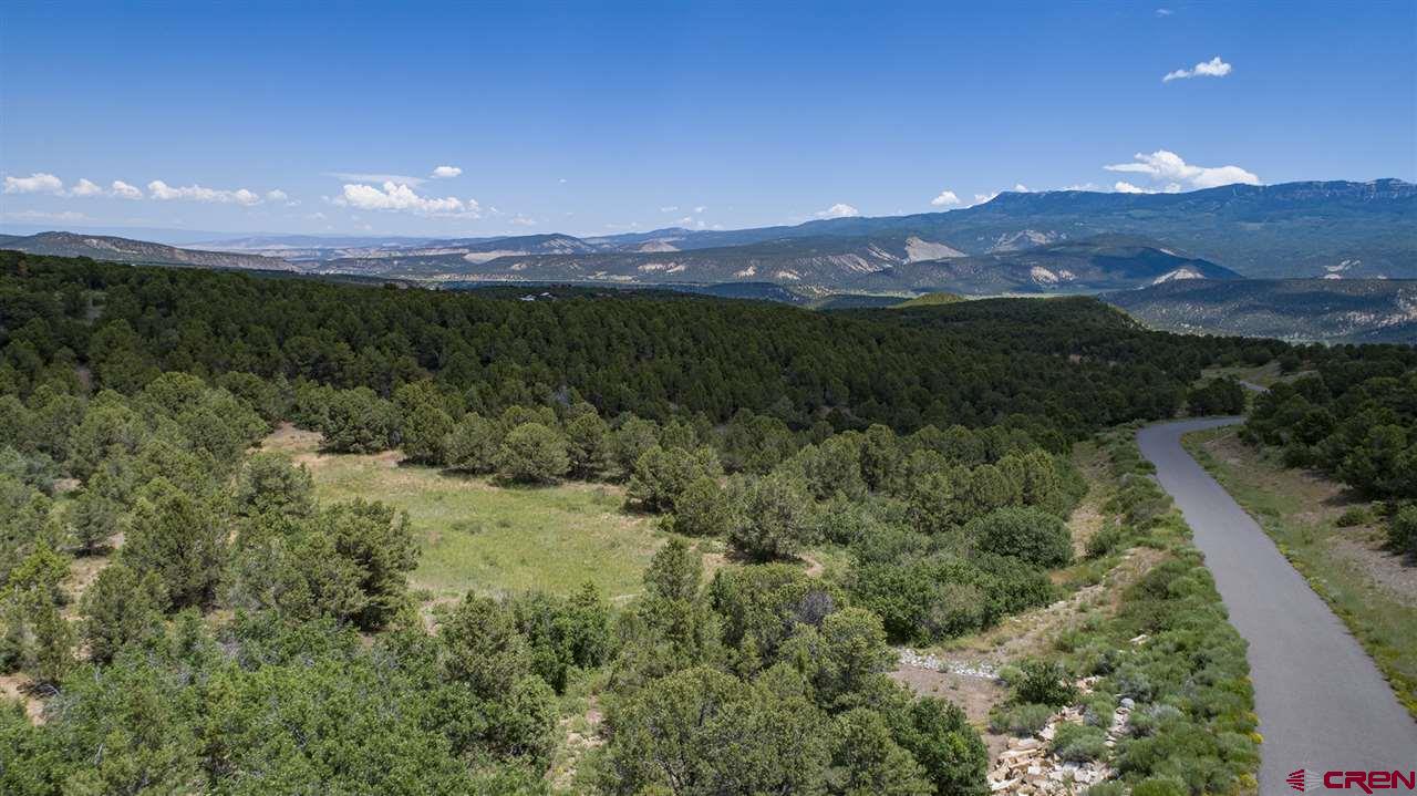 Tbd Pointe Escape Drive Ridgway, CO 81432 - Photo 8 of 10