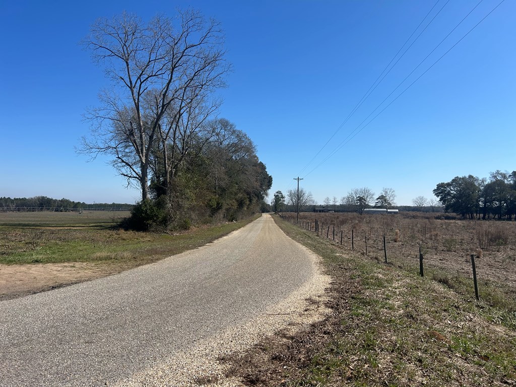 31.5-ac 31.5-ac Rammer Loop Road Dothan, AL 36301 - Photo 23 of 49