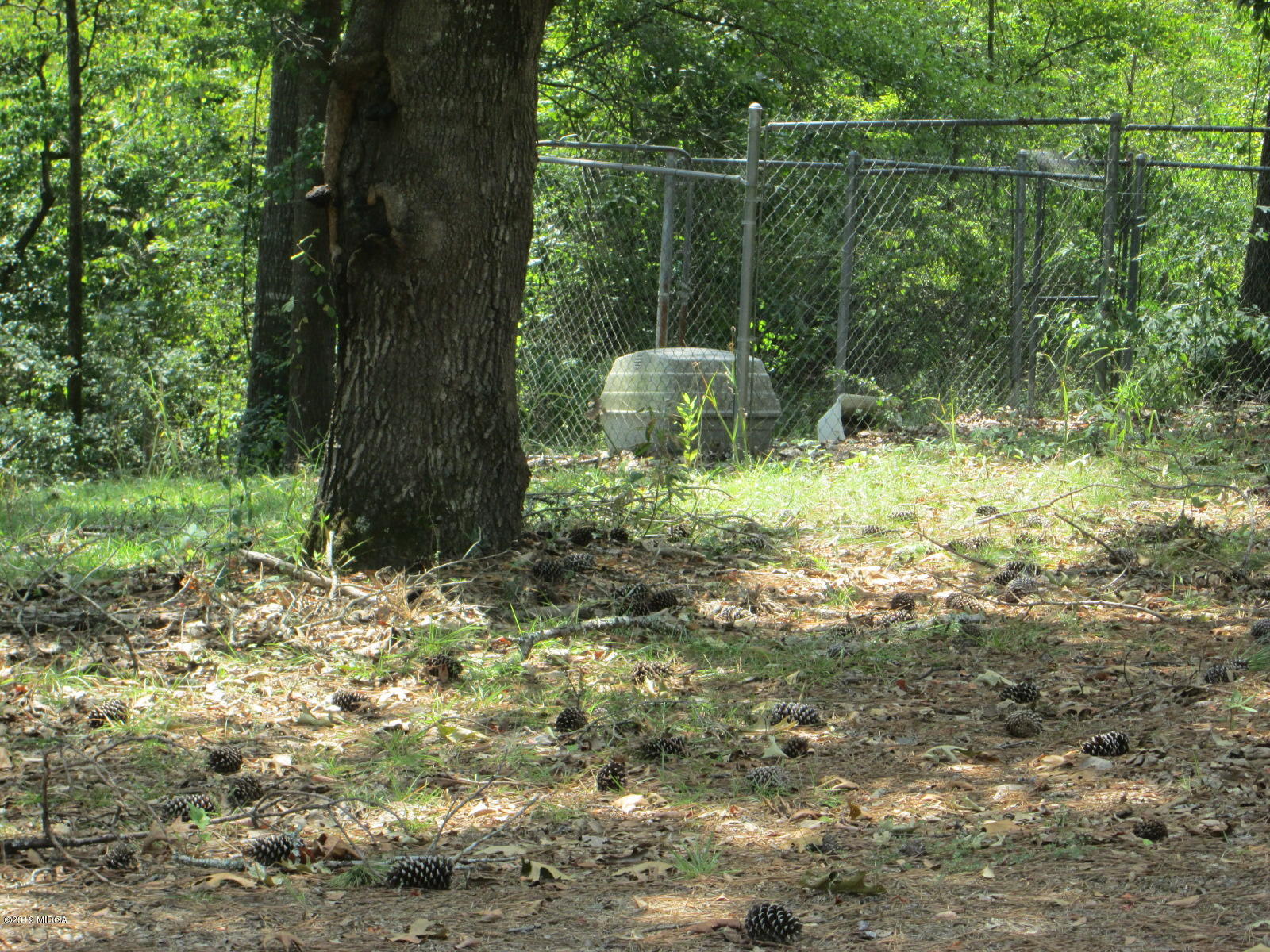 3393 Sgoda Road Macon, GA 31217 - Photo 35 of 43 35