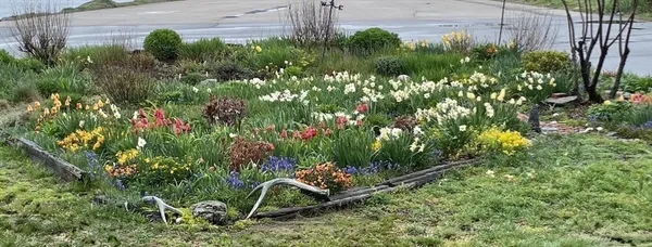 a view of lake and mountain