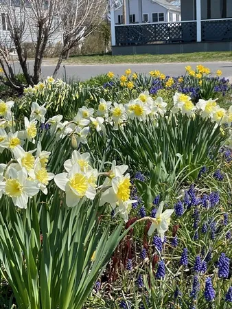 $1,325,000 | 46 Sunset Avenue, Hull, MA 02045