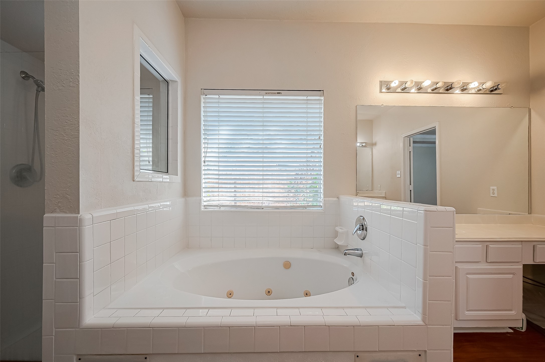 2907 Little Branch Court Houston, TX 77082 - Photo 43 of 50 a bathroom with bathtub and window