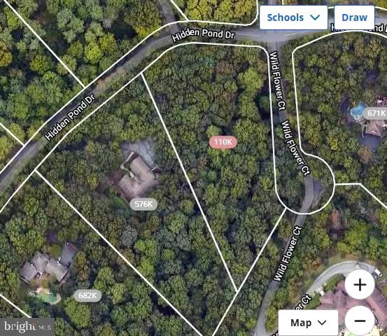 a bird view of a garden