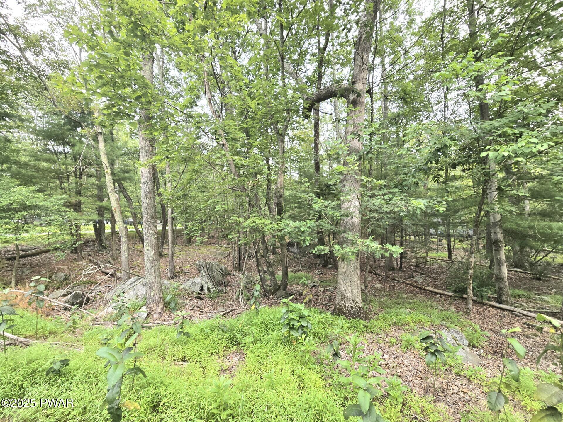 Lot 41 Rock Bass Road Milford, PA 18337 - Photo 4 of 8 3