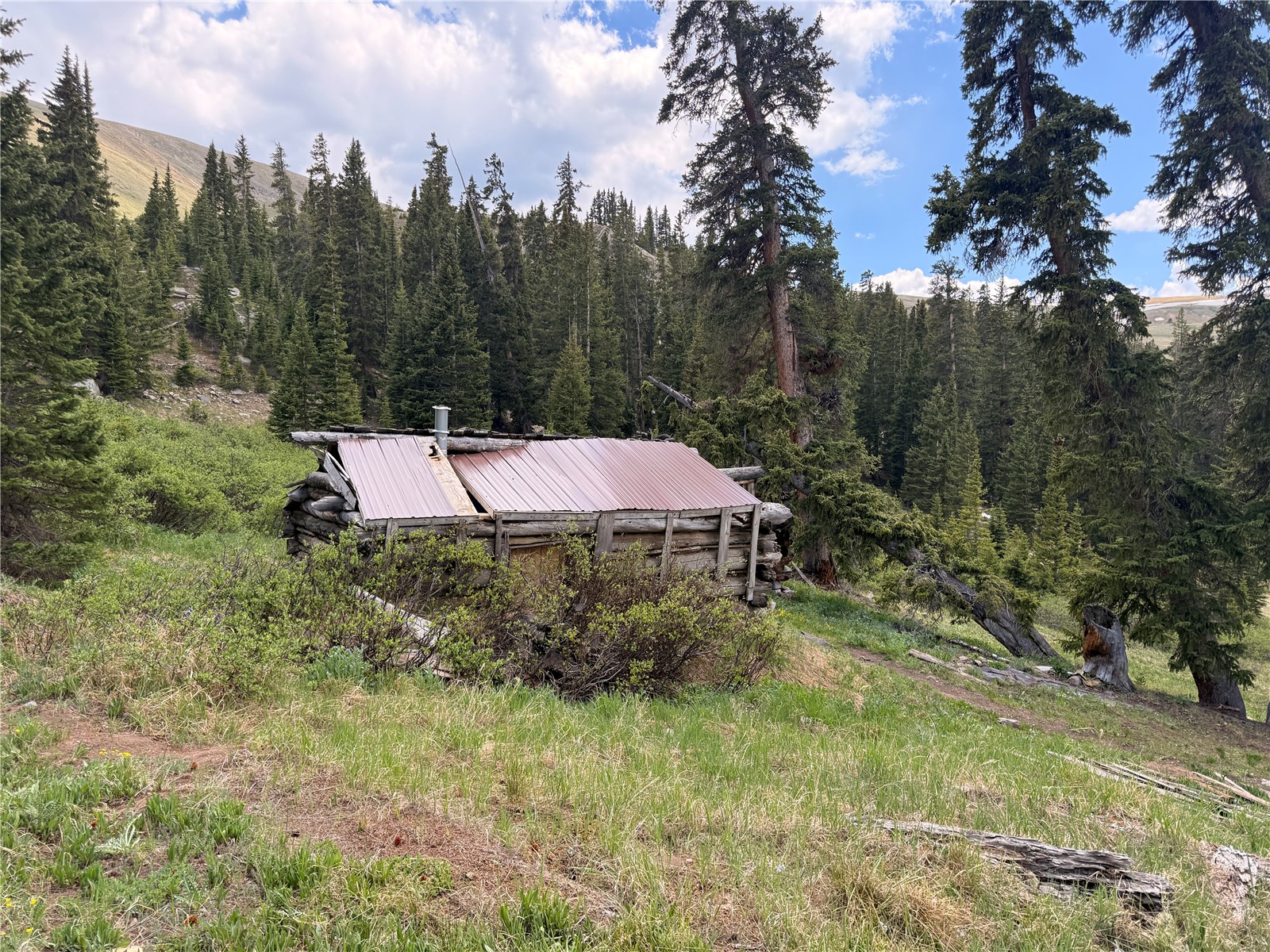1234 Saints John Road Dillon, CO 80435 - Photo 5 of 50