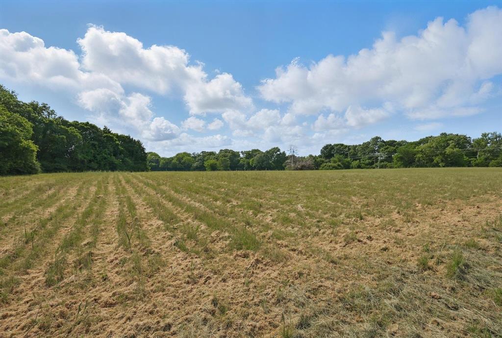 699 West Wintergreen Road DeSoto, TX 75115 - Photo 14 of 29 a view of a lake with houses in the back