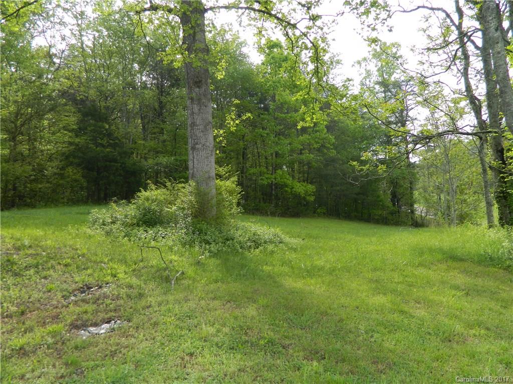 1111 McCurdy Road Hiddenite, NC 28636 - Photo 18 of 20 a view of a yard with a trees