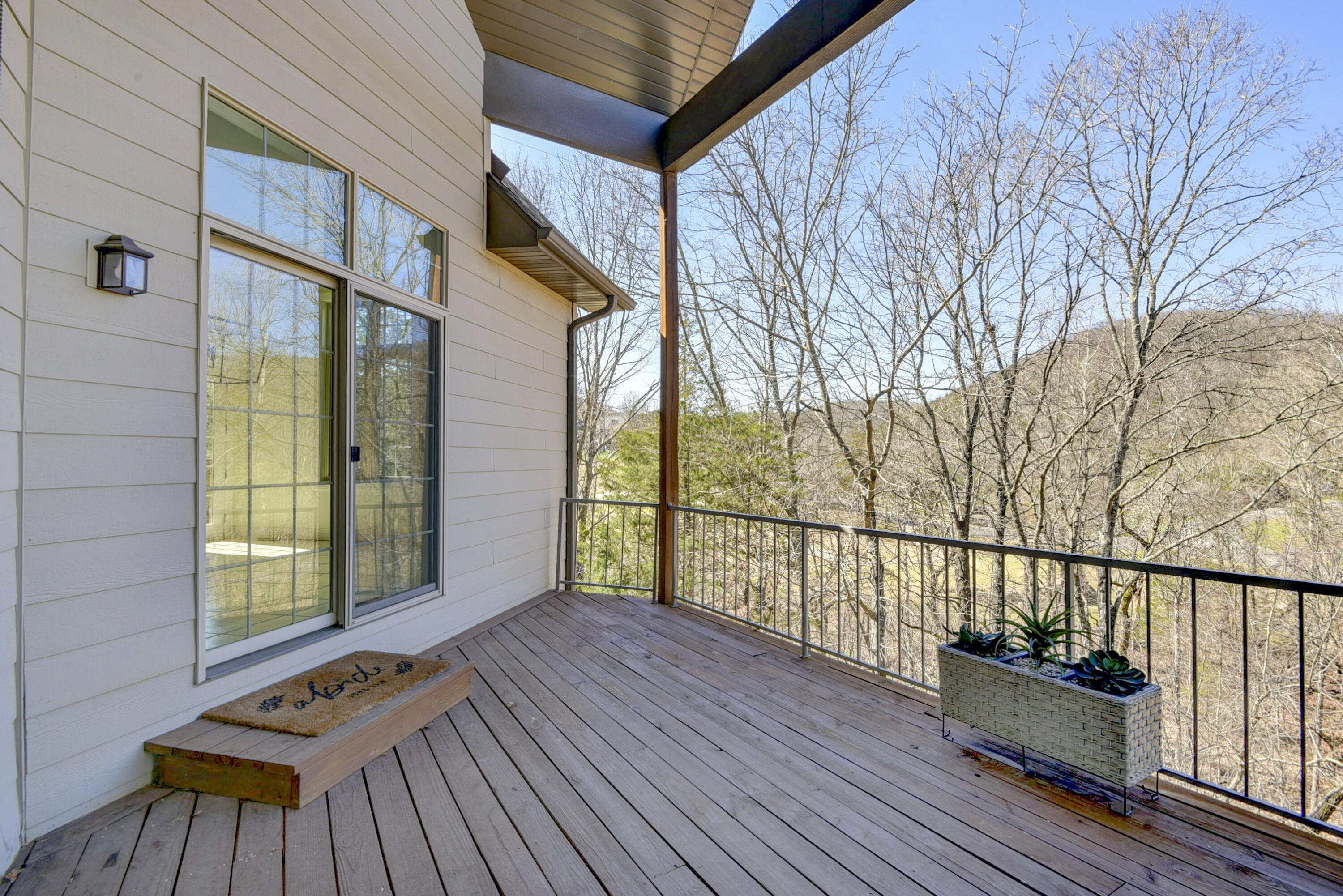 401 Silverwood Circle Reeds Spring, MO 65737 - Photo 19 of 72 DSC_7680_1