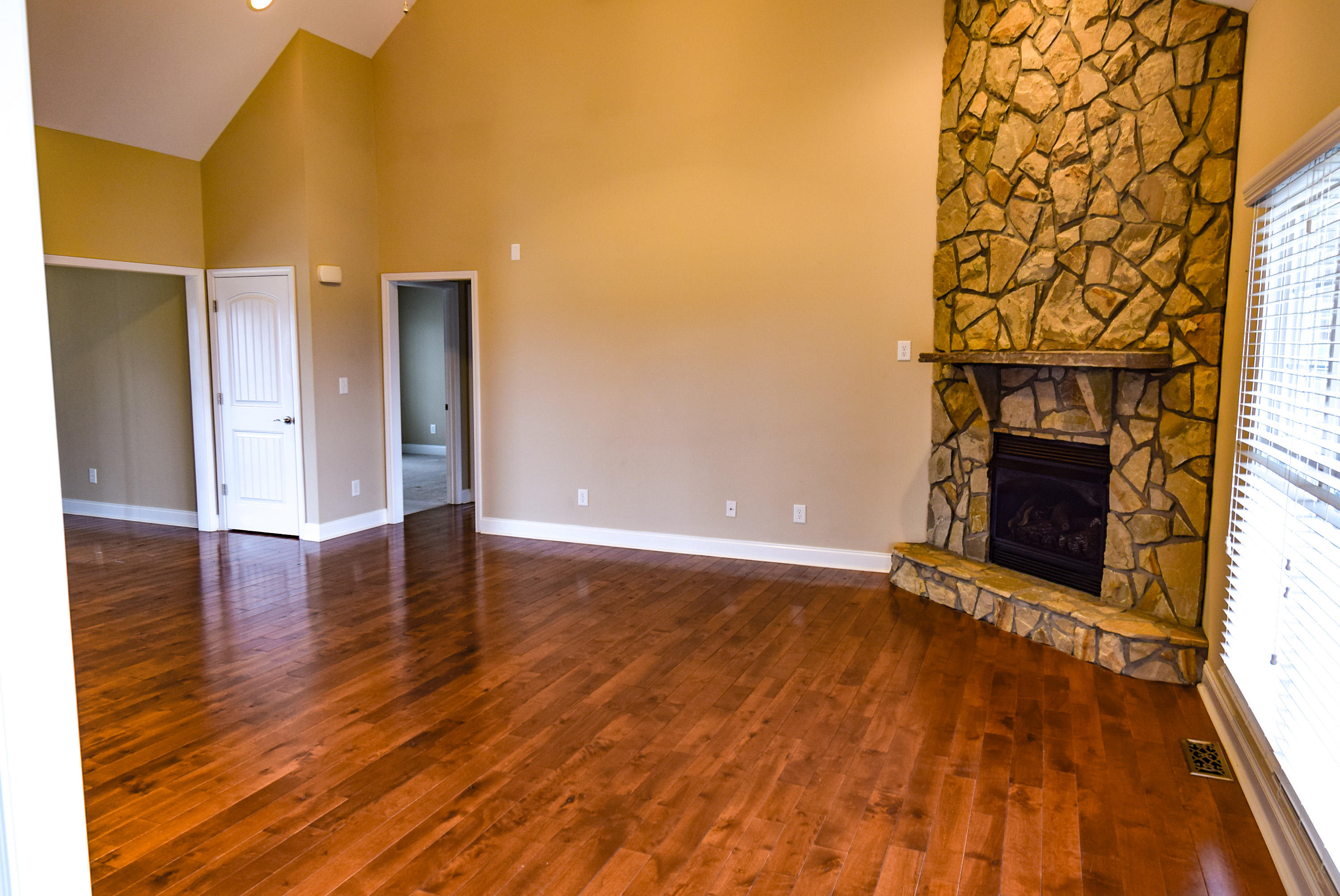 592 Sand Ridge Circle Jonesborough, TN 37659 - Photo 14 of 39 Gas fireplace